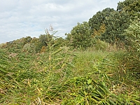 29.09.2012 11:43:33
Stralsund
Ostsee 2012
Ostsee-Fotos