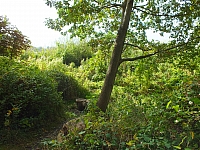 29.09.2012 11:45:03
Stralsund
Ostsee 2012
Ostsee-Fotos