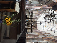 29.09.2012 14:42:15
Stralsund
Ostsee 2012
Ostsee-Fotos