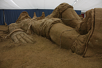 20.08.2013 12:57:30
Sandskuplturen-Fesival Binz
Ostsee 2013
Ostsee-Fotos