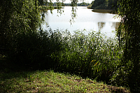 21.08.2013 16:56:01
Stralsund
Ostsee 2013
Ostsee-Fotos