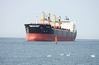 22.08.2013 14:21:46
Rostock Warnemünde
Ostsee 2013
Ostsee-Fotos