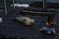 22.08.2013 14:39:38
Rostock Warnemünde
Ostsee 2013
Ostsee-Fotos