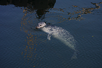22.08.2013 14:40:33
Rostock Warnemünde
Ostsee 2013
Ostsee-Fotos