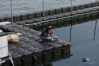 22.08.2013 14:41:57
Rostock Warnemünde
Ostsee 2013
Ostsee-Fotos