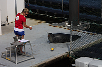 22.08.2013 14:44:27
Rostock Warnemünde
Ostsee 2013
Ostsee-Fotos