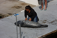 22.08.2013 14:54:43
Rostock Warnemünde
Ostsee 2013
Ostsee-Fotos