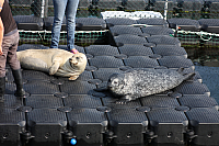 22.08.2013 15:02:09
Rostock Warnemünde
Ostsee 2013
Ostsee-Fotos