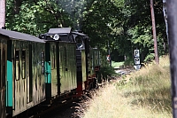 24.08.2013 13:14:13
Rasender Roland
Ostsee 2013
Ostsee-Fotos