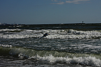 25.08.2013 11:15:12
Strand Mukran
Ostsee 2013
Ostsee-Fotos