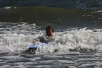 25.08.2013 11:18:03
Strand Mukran
Ostsee 2013
Ostsee-Fotos