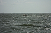10.08.2014 11:20:44
August 2014
Ostsee-Fotos