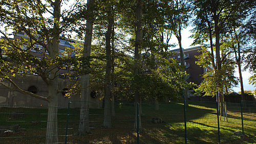 &copy; R.Thiel
10.10.2020 13:35:11
Stralsund 2020
Ostsee-Fotos