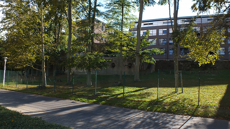 &copy; R.Thiel
10.10.2020 13:31:20
Stralsund 2020
Ostsee-Fotos