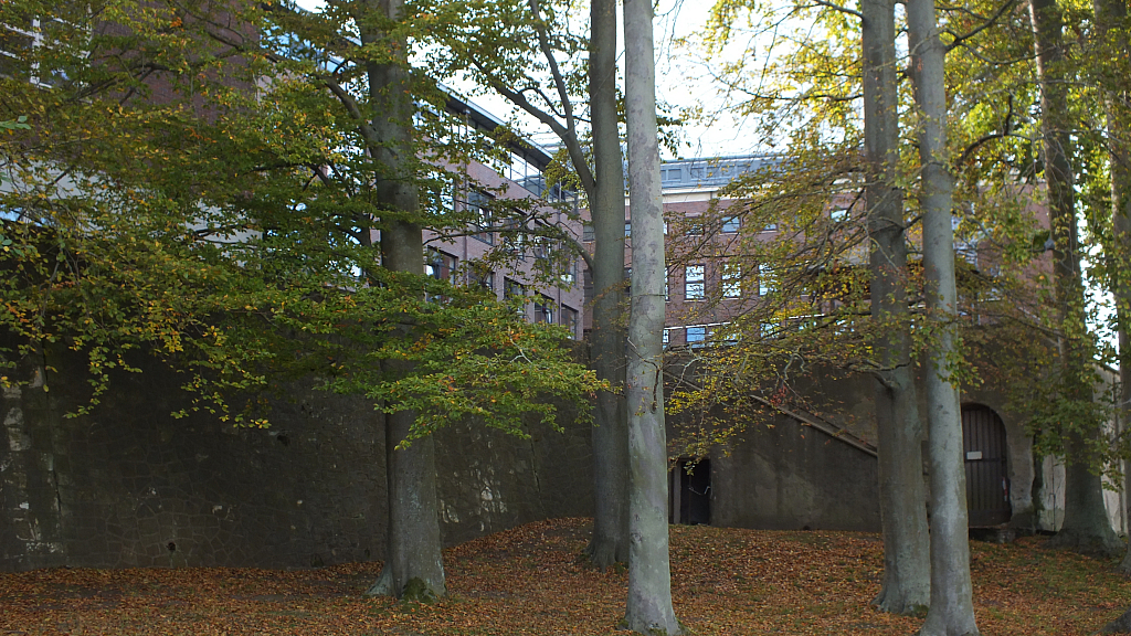 &copy; R.Thiel
10.10.2020 13:51:22
Stralsund 2020
Ostsee-Fotos